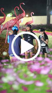 BIB:  <button type="button" onclick="openModal(27591039)" class="btn btn-primary btn-sm float-right" data-toggle="modal" data-target=".modal-high-quality">
                <i class="fa fa-download"></i> Download
                </button>